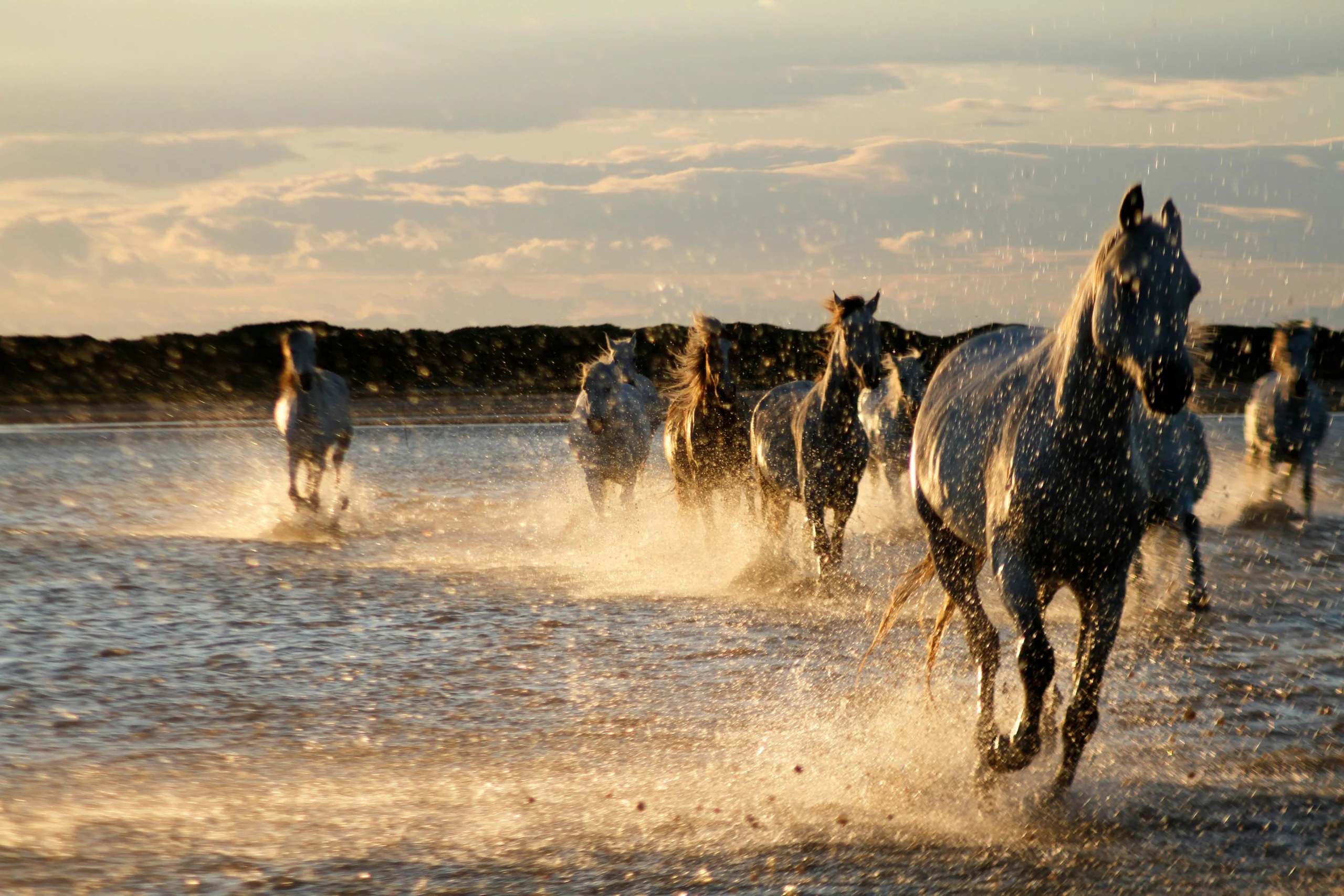 Hotel spa le calendal arles region camargue